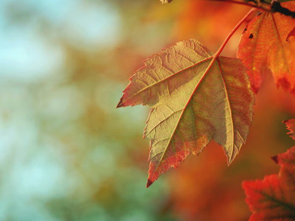 Seasonal Fashion Made Simple: Your Lazy Jacks Style Guide