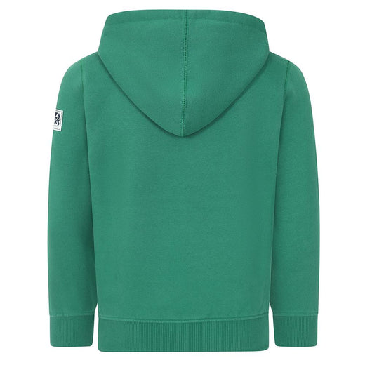 LJ21C - Boy's Hooded Sweatshirt - Fern