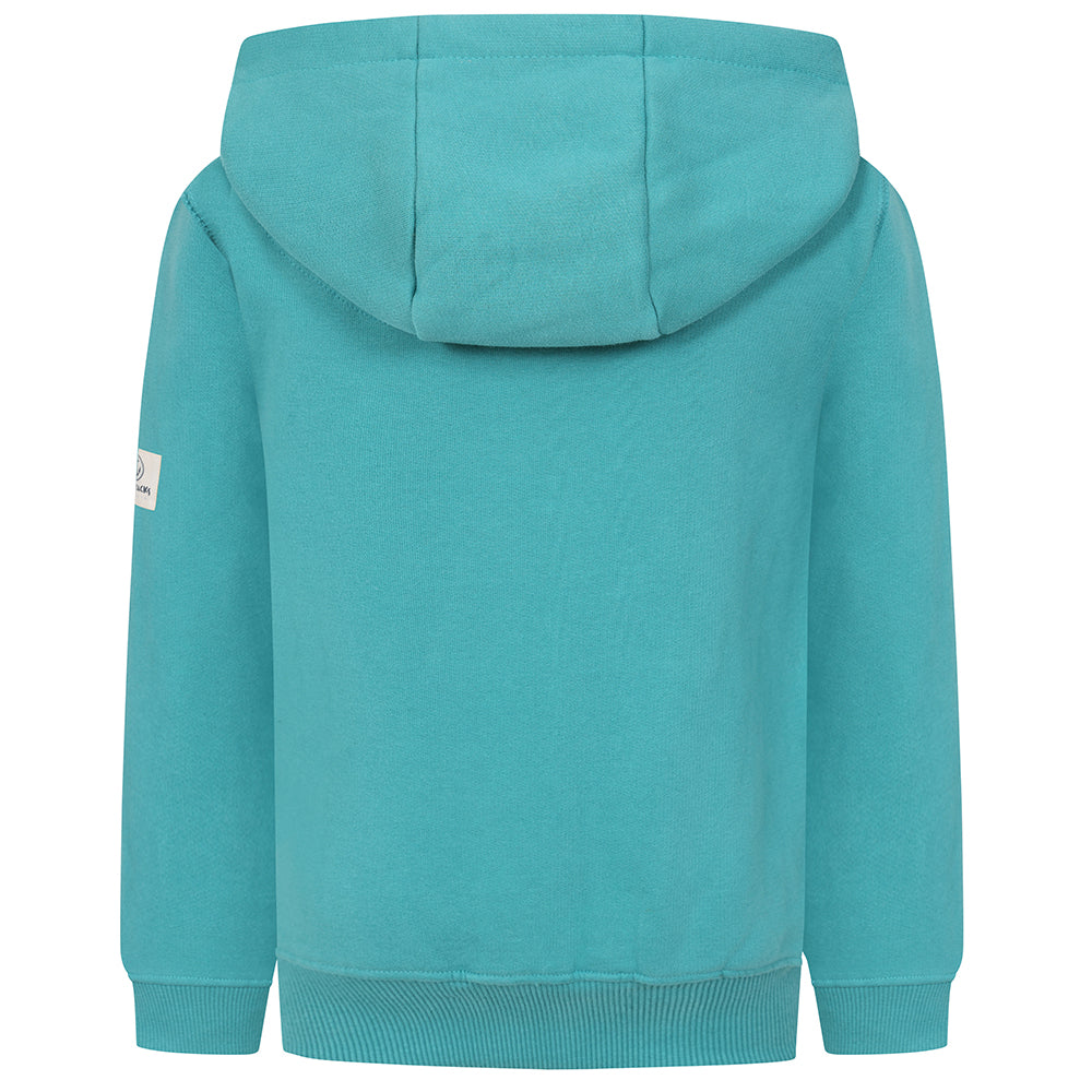LJ21C - Boys Hooded Sweatshirt - Jade