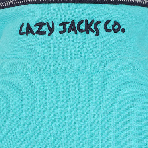 LJ40C - Boy's 1/4 Zip Sweatshirt - Aquarius