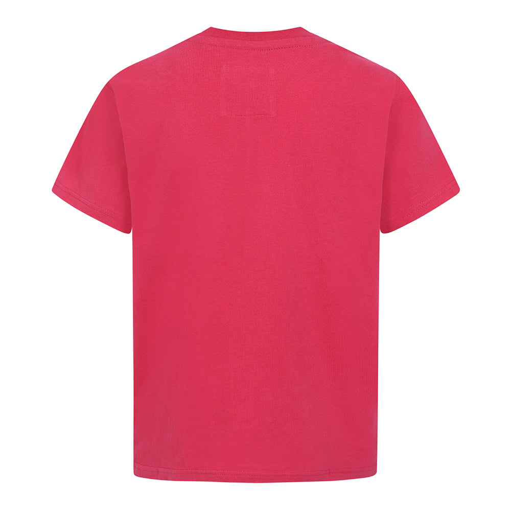 LJ15C - Boys Printed T-Shirt - Watermelon