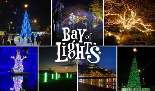 Bay Of Lights Illumination Trail