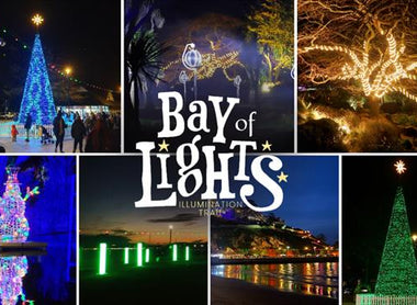 Bay Of Lights Illumination Trail