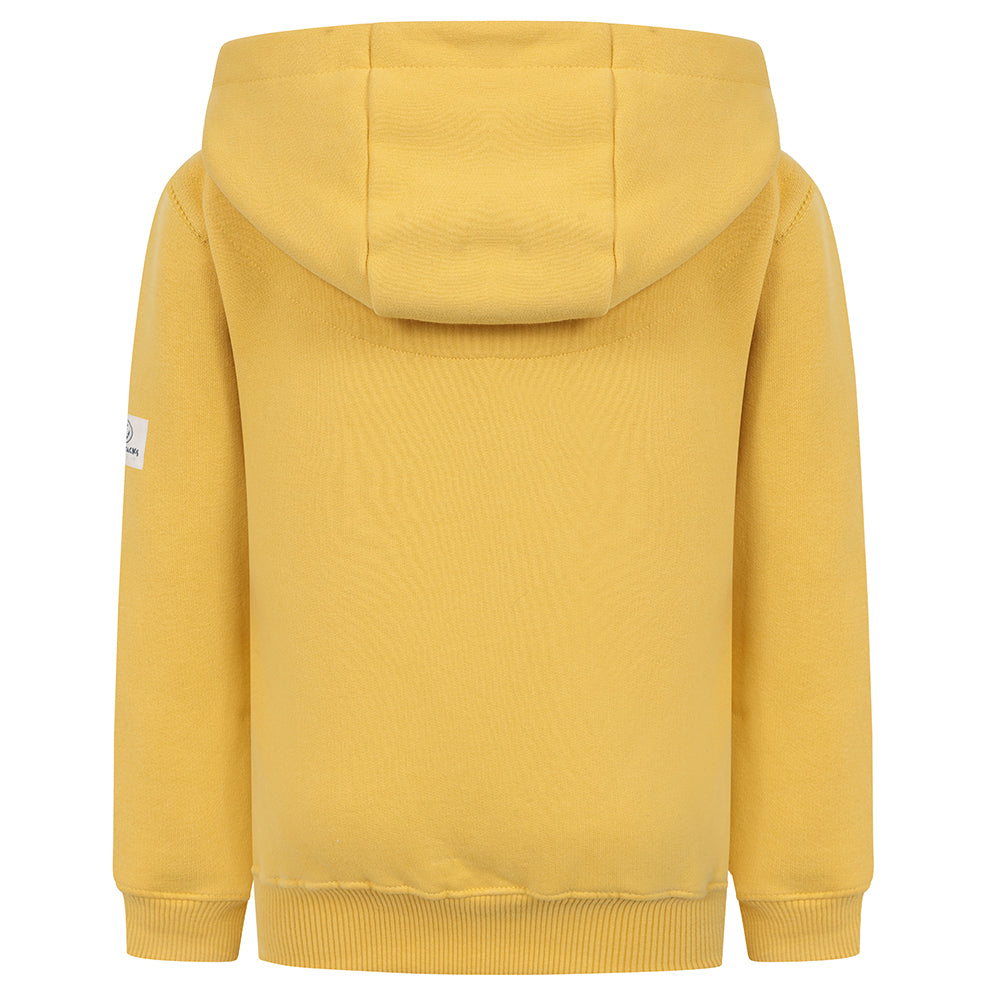 LJ21C - Boys Hooded Sweatshirts - Lemon